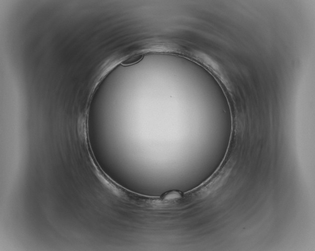 X0000110691433200906191458