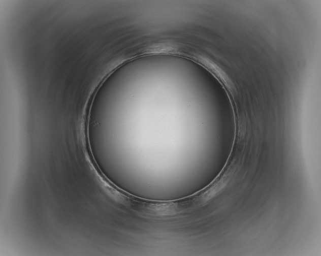 X0000110691434200906191458