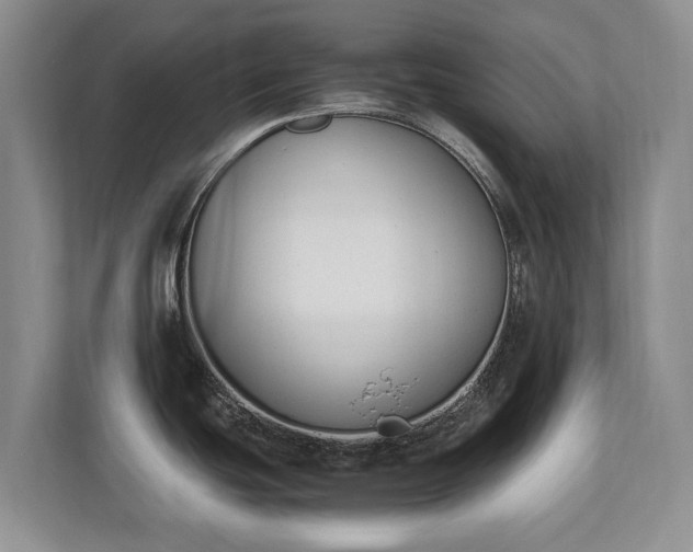 X0000110691439200906191458