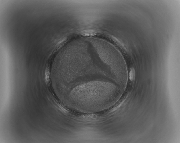 X0000110691444200906191458