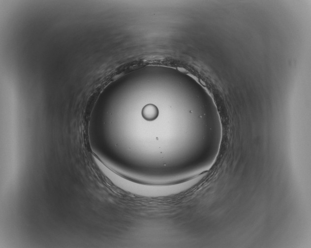 X0000110691445200906191458