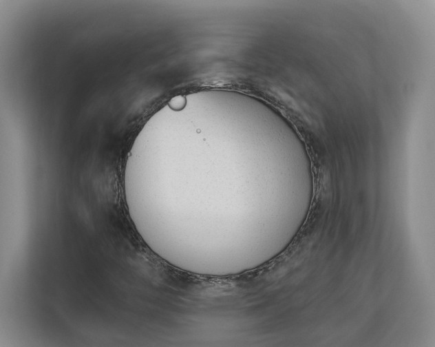 X0000110691446200906191458