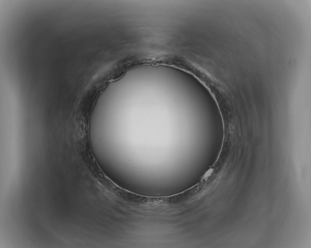 X0000110691447200906191458