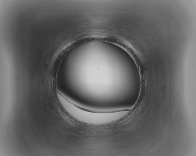 X0000110691448200906191458