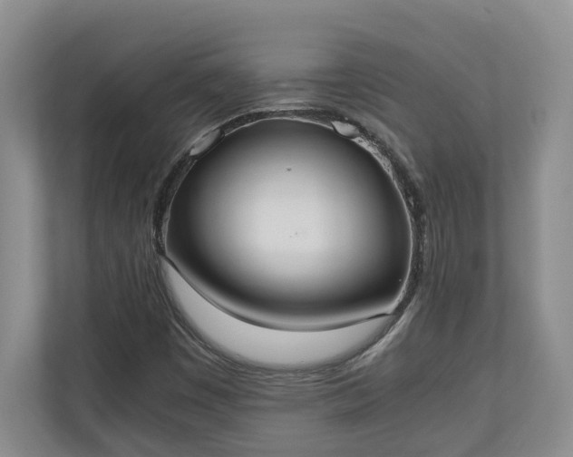 X0000110691449200906191458