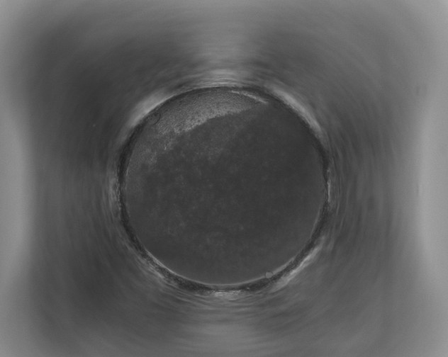 X0000110691453200906191458