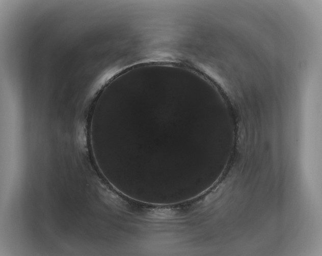 X0000110691455200906191458