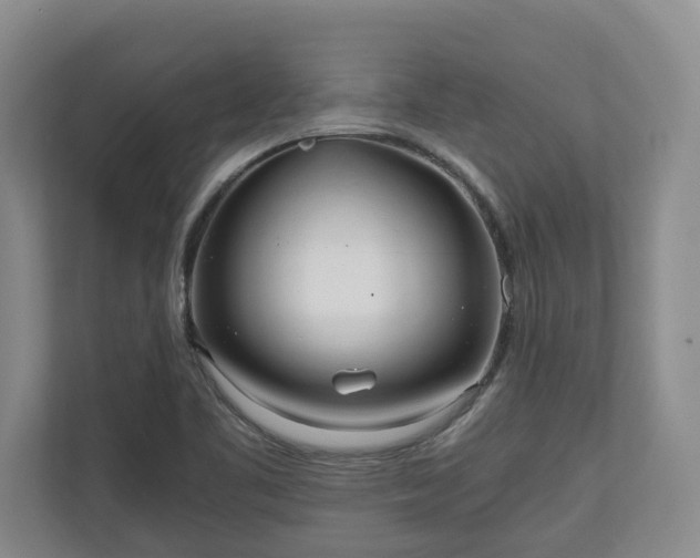 X0000110691461200906191458