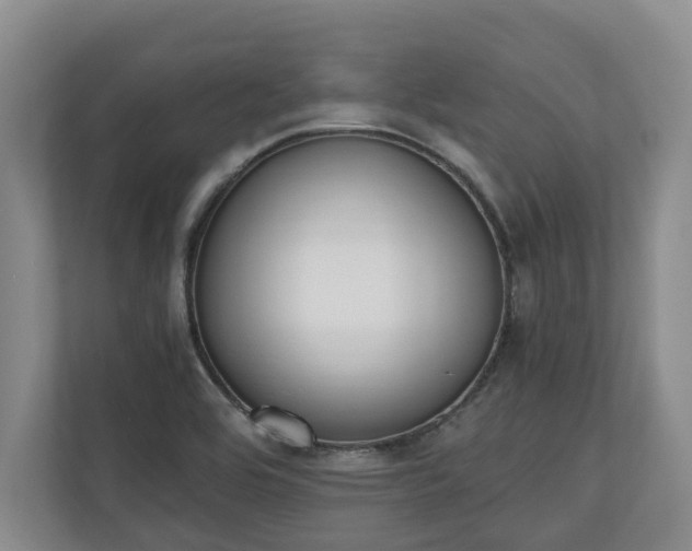 X0000110691464200906191457