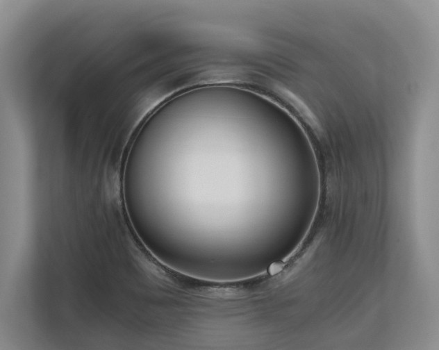 X0000110691465200906191457