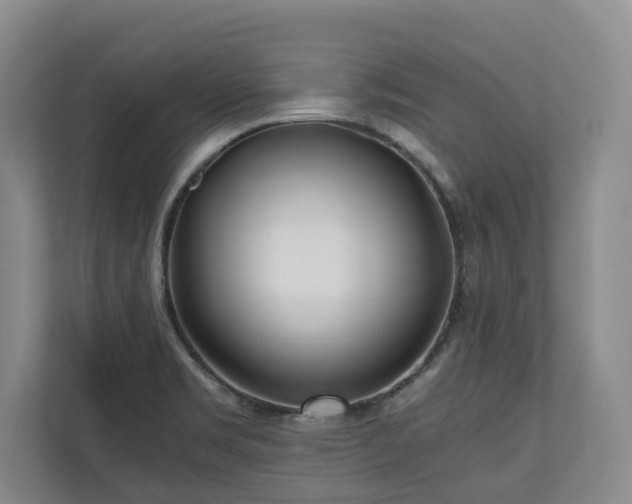 X0000110691469200906191457