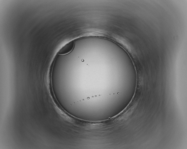 X0000110691471200906191457