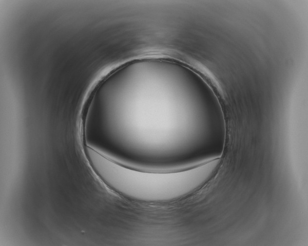 X0000110691472200906191457