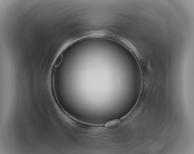 X0000110691475200906191457