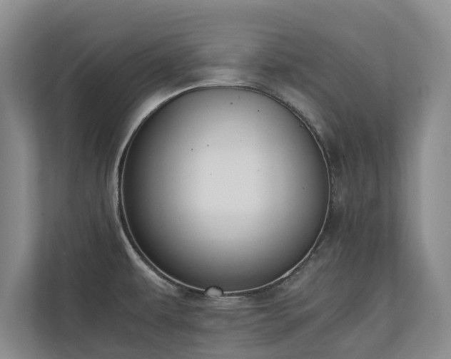 X0000110691479200906191457