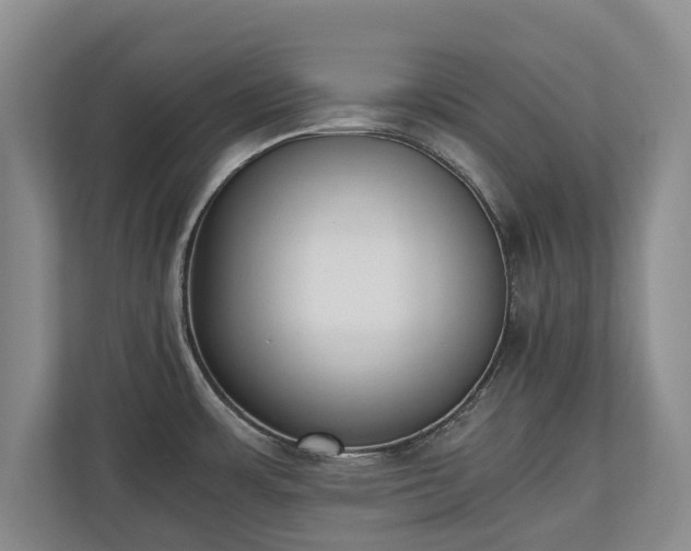 X0000110691483200906191457