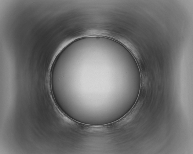 X0000110691486200906191457