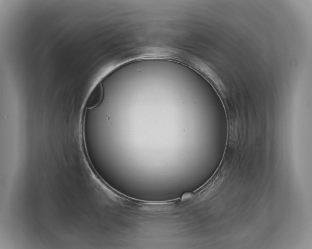 X0000110691487200906191457