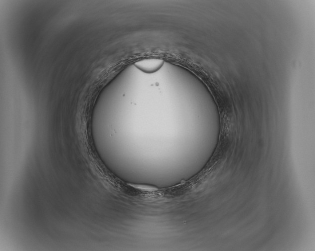 X0000110691489200906191457