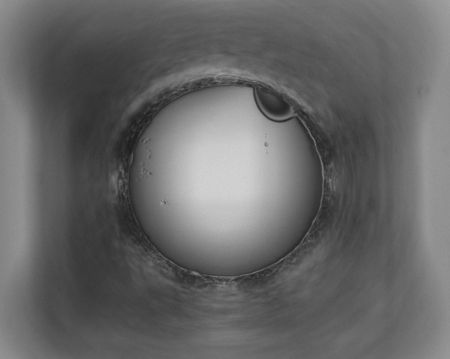 X0000110691495200906191457