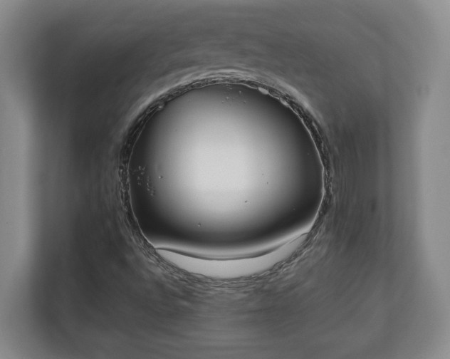 X0000110691496200906191457