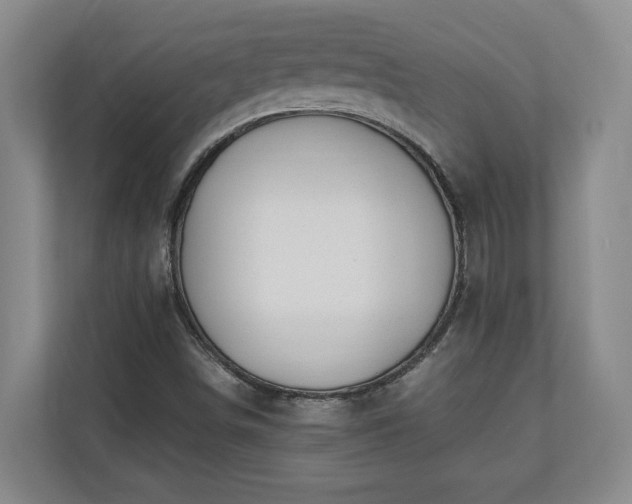 X0000110691498200906191457