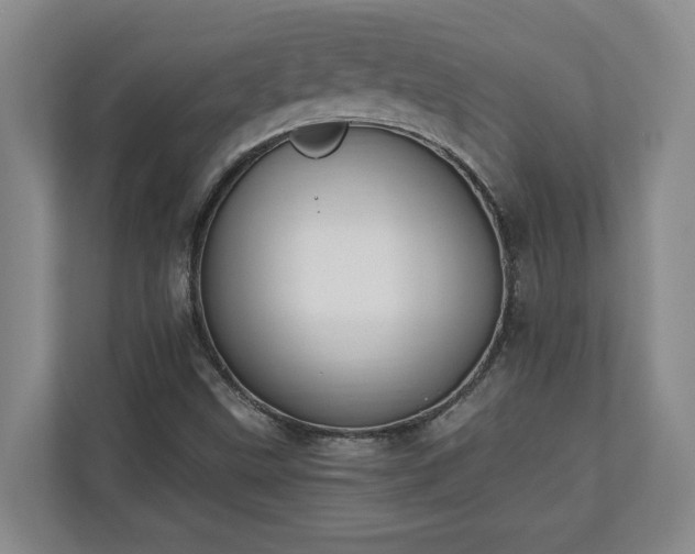 X0000110691499200906191457