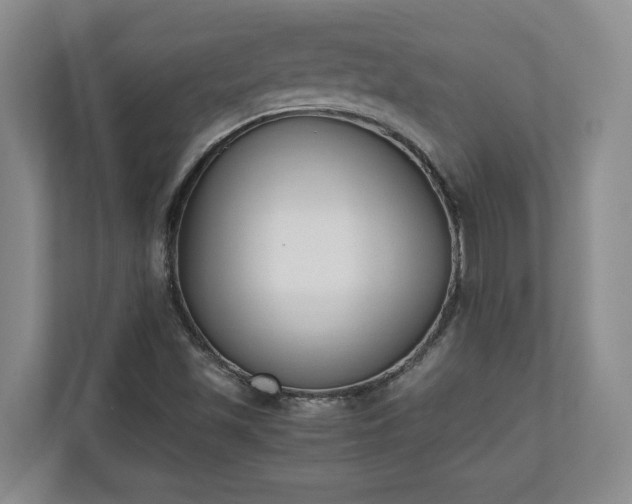 X0000110691501200906191457