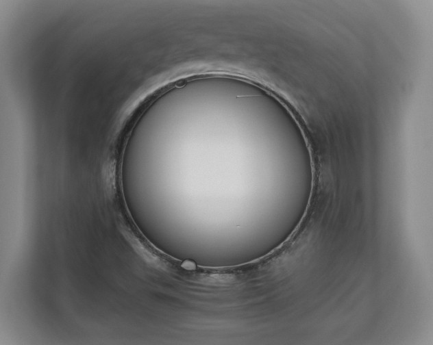 X0000110691503200906191457