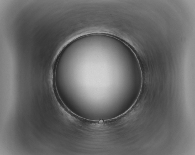 X0000110691508200906191457