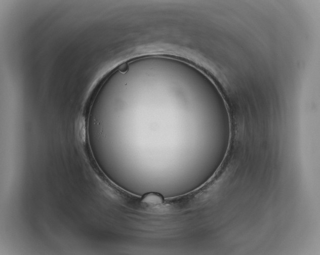 X0000110691509200906191457