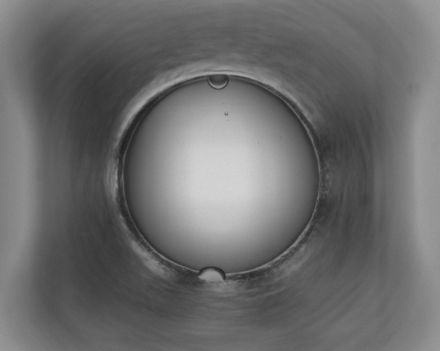 X0000110691511200906191457