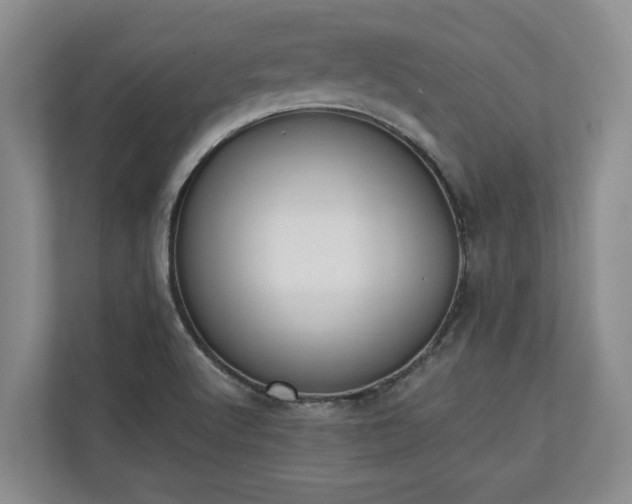 X0000110691512200906191457