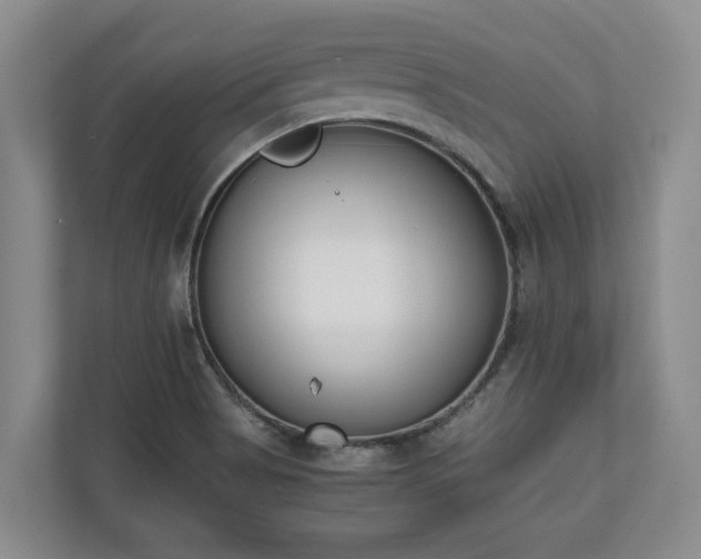 X0000110691513200906191457