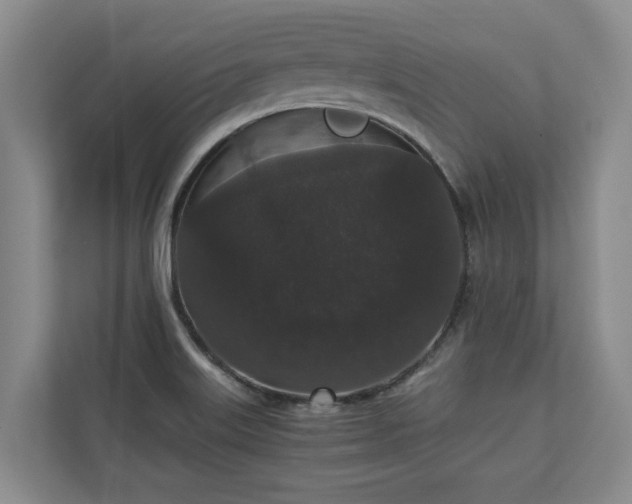 X0000110691515200906191457