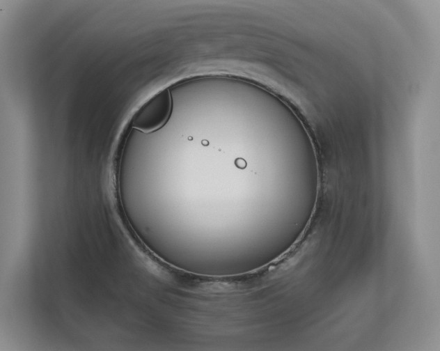 X0000110691517200906191457