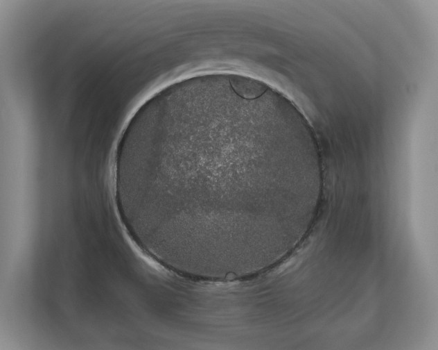 X0000110691519200906191457