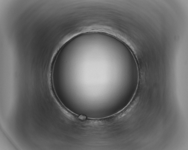 X0000110691525200906191457