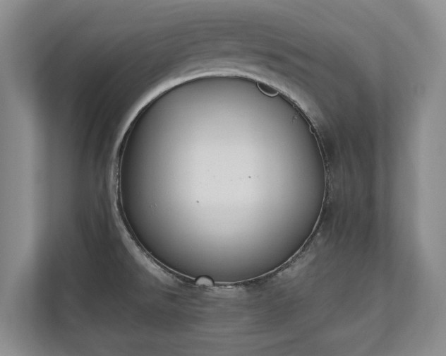 X0000110691526200906191457