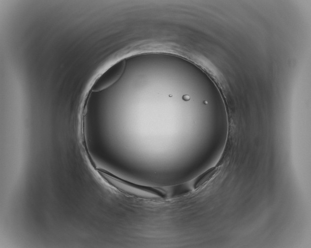 X0000110691528200906191457