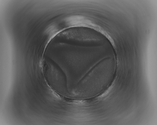 X0000110691529200906191457