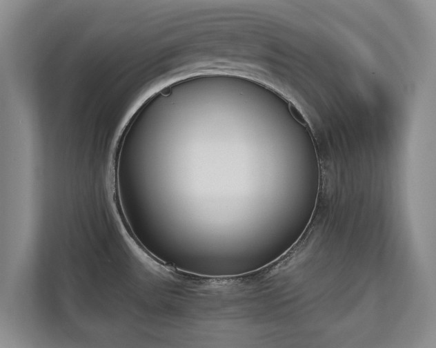 X0000110691531200906191457