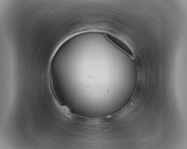 X0000110691532200906191457