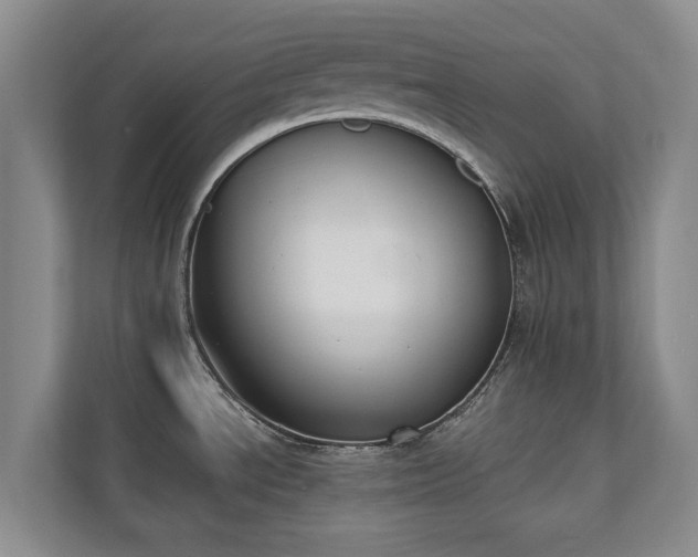 X0000110691534200906191457