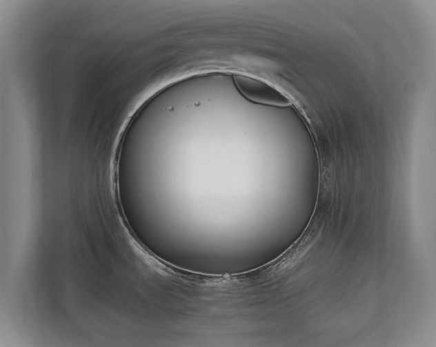 X0000110691535200906191457