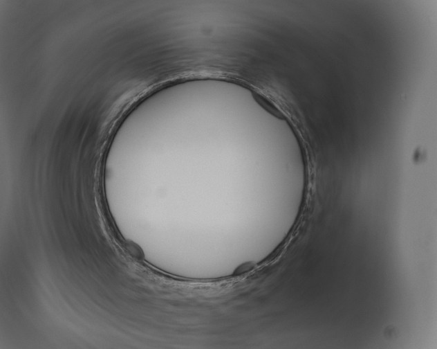 X0000110690001200906261355