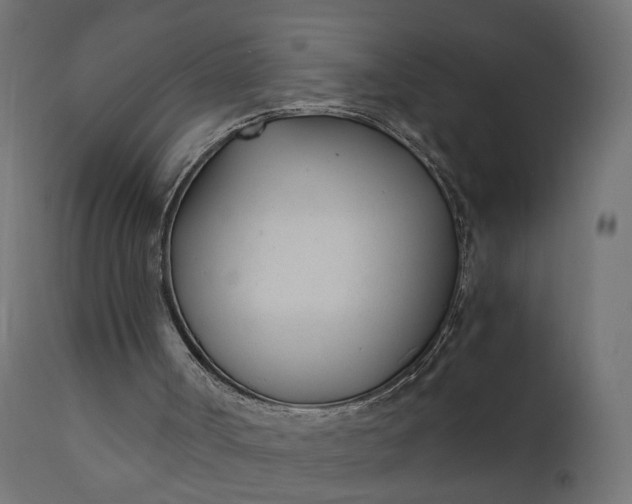 X0000110690002200906261355