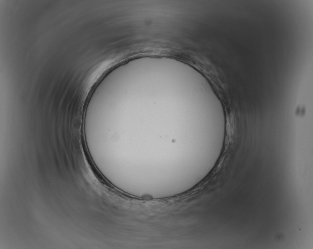 X0000110690003200906261355