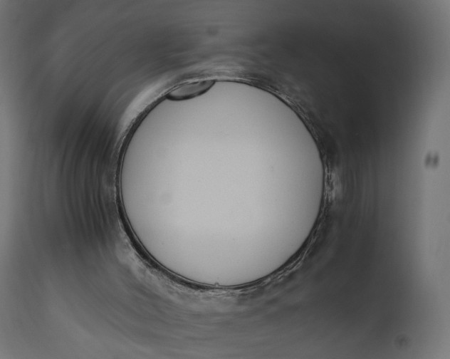 X0000110690004200906261355