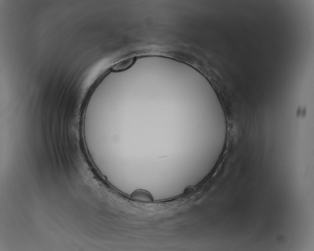 X0000110690006200906261355